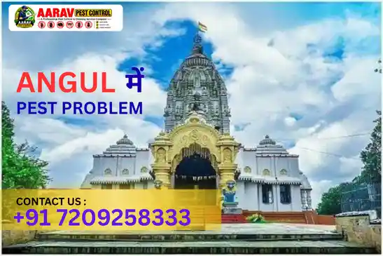 pest control in angul, pest control service angul, best pest control in angul, pest control company in angul, pest control services odisha, termite control angul, cockroach control angul, mosquito control angul, ant control angul, rodent control angul, bed bug control angul, fly control angul, lizard control angul, residential pest control angul, commercial pest control angul, professional pest control angul, home pest control angul, office pest control angul, pest management angul, pest treatment angul, pest control near angul, aarav pest control angul, pest control in talcher, pest control in banarpal, pest control in chhendipada, pest control in athmallik, pest control in kishorenagar, pest control in pallahara, pest control in kaniha, pest control near angul odisha, pest control services near me angul